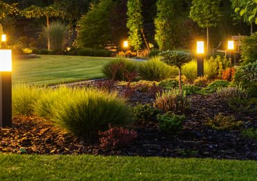 Elegant and Modern Garden LED Lighting