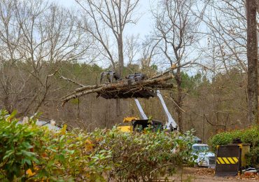 Heavy machinery lifts fallen tree branches during cleanup operation in rural area