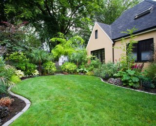 House and Landscaped Yard