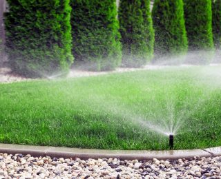 Sprinklers watering lawn